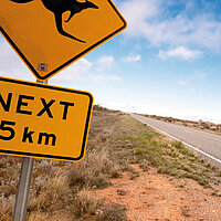 Eine Landstra&szlig;e in Australien. Im Vordergrund steht ein gelbes Schild mit einem K&auml;nguru darauf.